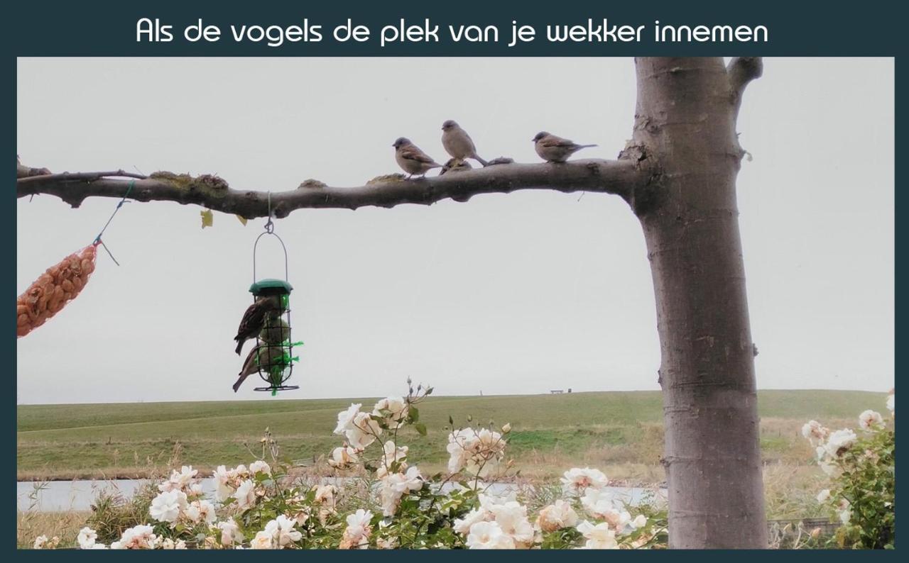 Vakantiewoning Deltahof Ellewoutsdijk Zewnętrze zdjęcie