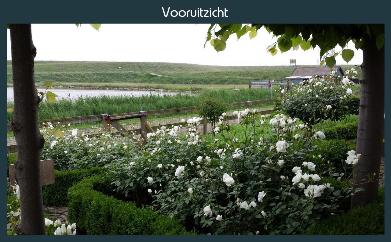Vakantiewoning Deltahof Ellewoutsdijk Zewnętrze zdjęcie