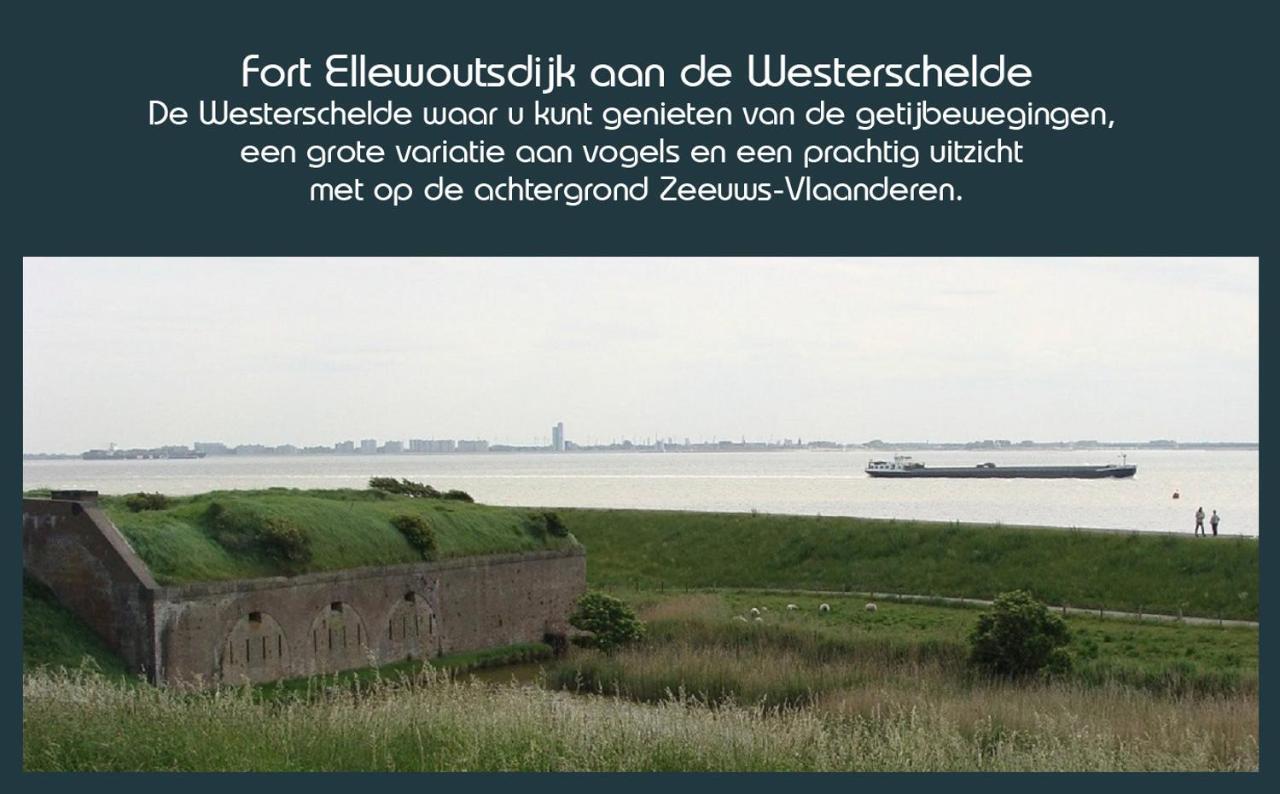 Vakantiewoning Deltahof Ellewoutsdijk Zewnętrze zdjęcie
