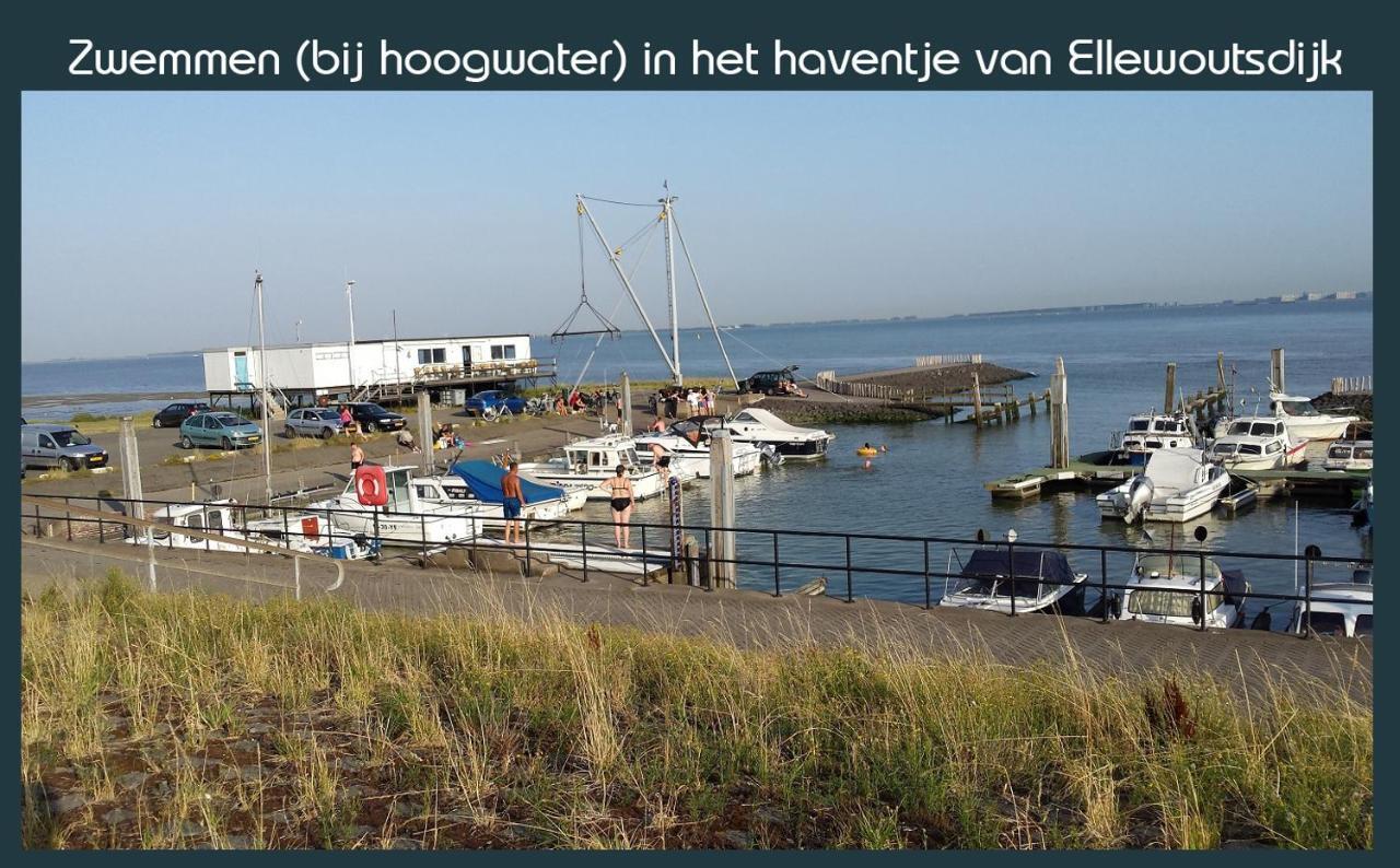 Vakantiewoning Deltahof Ellewoutsdijk Zewnętrze zdjęcie