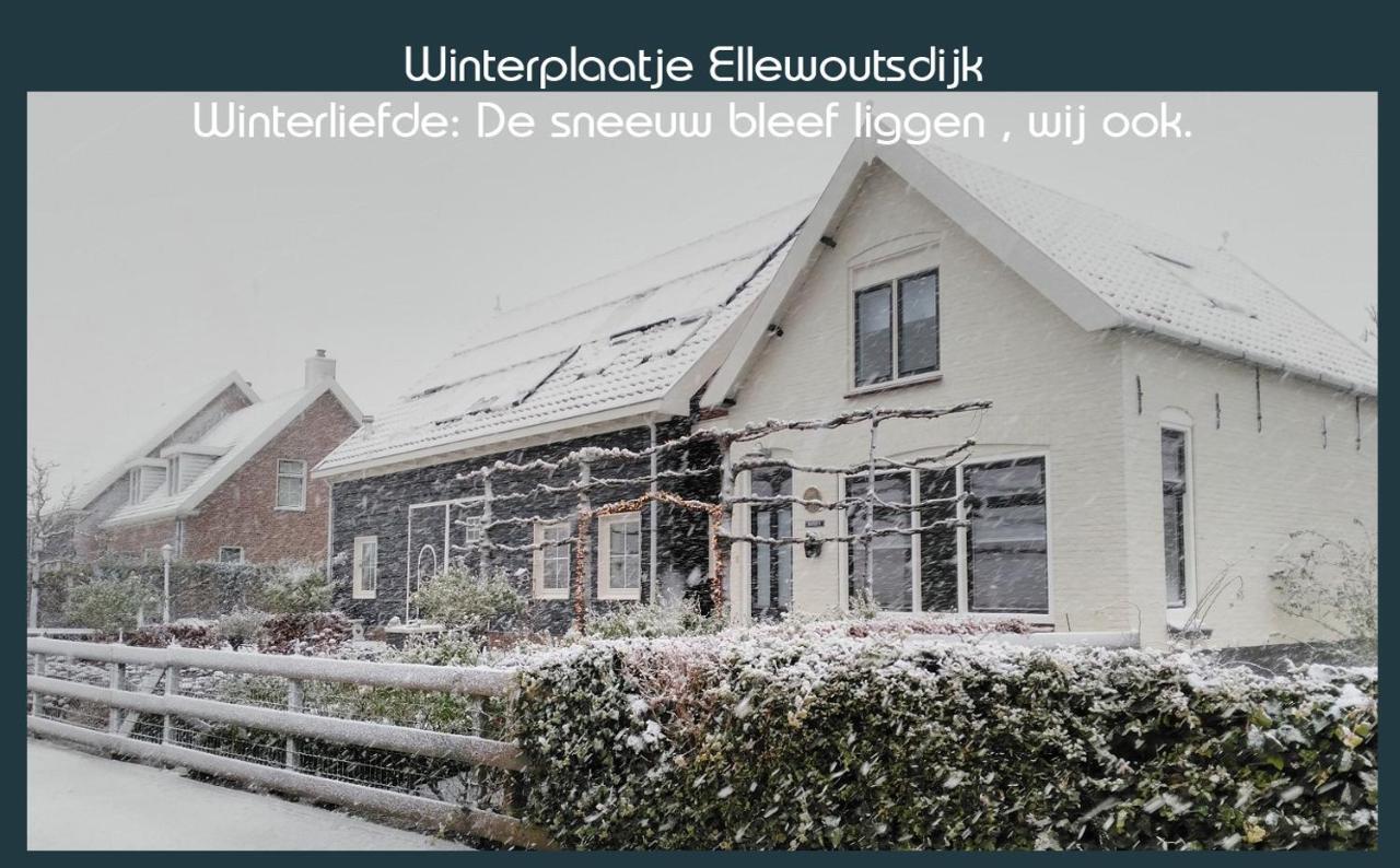 Vakantiewoning Deltahof Ellewoutsdijk Zewnętrze zdjęcie