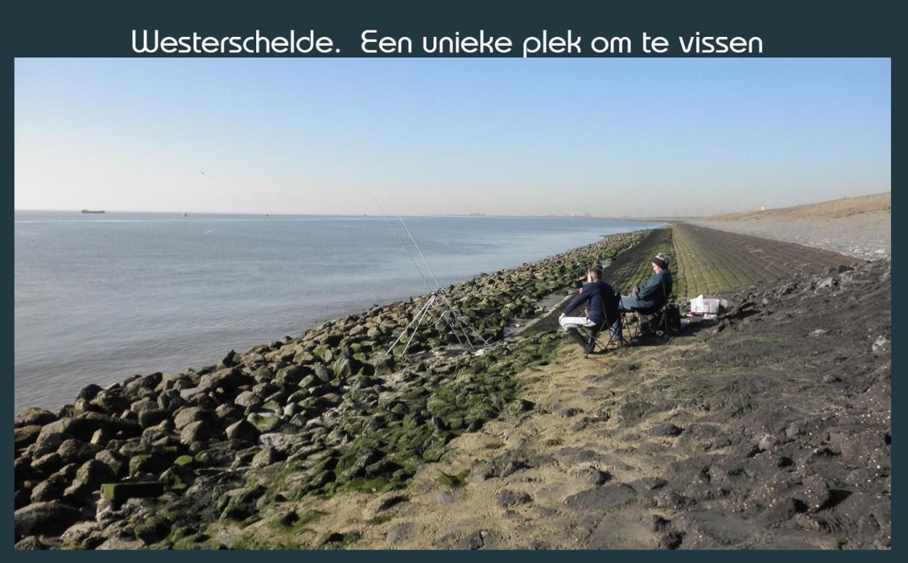 Vakantiewoning Deltahof Ellewoutsdijk Zewnętrze zdjęcie
